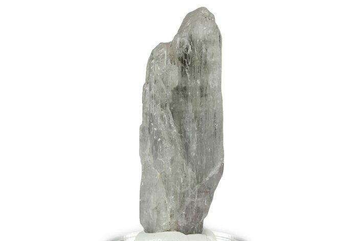 Colorless Kunzite Crystal ( g) - Afghanistan #356679